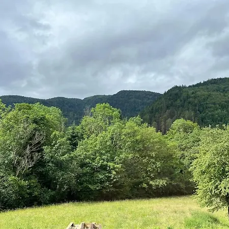 Apartment 5 Personnes Avec Espace Plein Air Saint-Maurice-sur-Moselle